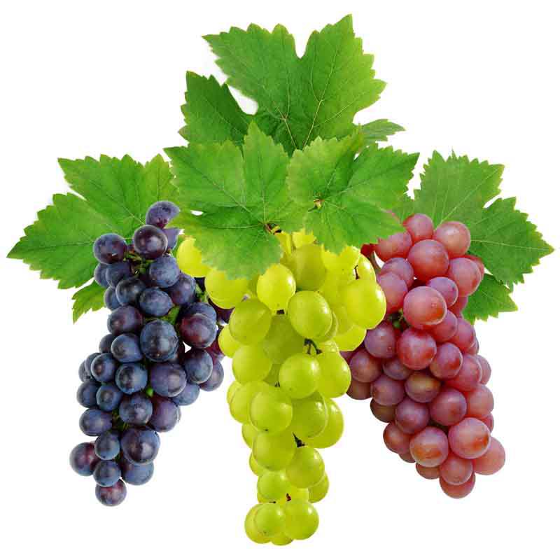 Можно ли есть виноград на диете