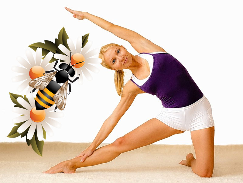 Пчелиный яд для суставов чем полезен, эффективные препараты