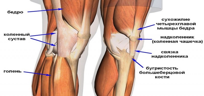 Главное, что нужно знать о разрыве крестообразных связок колена как избежать пожизненной нетрудоспособности