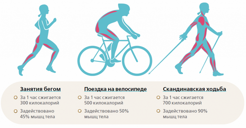 Как накачать мышцы при езде на велосипеде