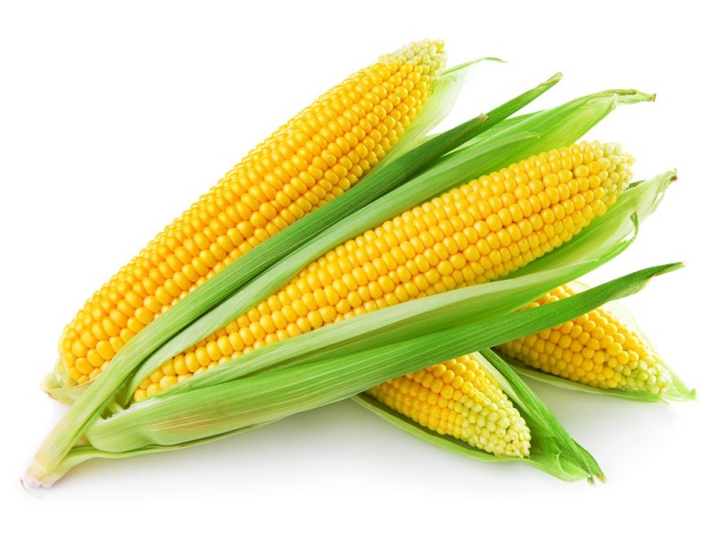 Употребление кукурузы при подагре