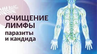 Изометрические упражнения для спины видео thumbnail