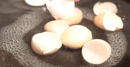 Цена выеденного яйца вред и польза яичной скорлупы