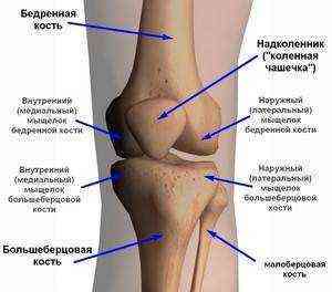Лечение коленного сустава основные болезни и методы терапии