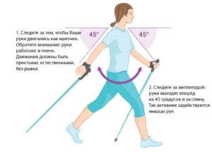 Скандинавская ходьба с палками: техника, польза и противопоказания