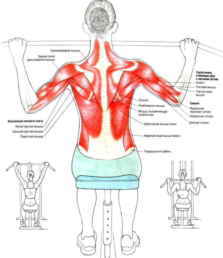 Одно плечо выше другого возможные причины, необходимые упражнения и массаж
