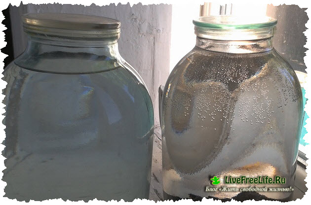 Польза и вред шунгитовой воды для организма. как приготовить шунгитовую воду в домашних условиях