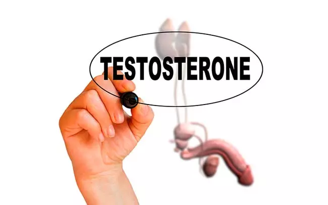 Спортпит для повышения тестостерона