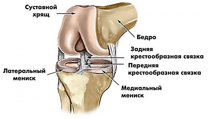 Резкая боль при разгибании коленного сустава к какому врачу обратиться