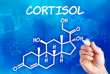 12 лучших советов, как понизить кортизол в крови