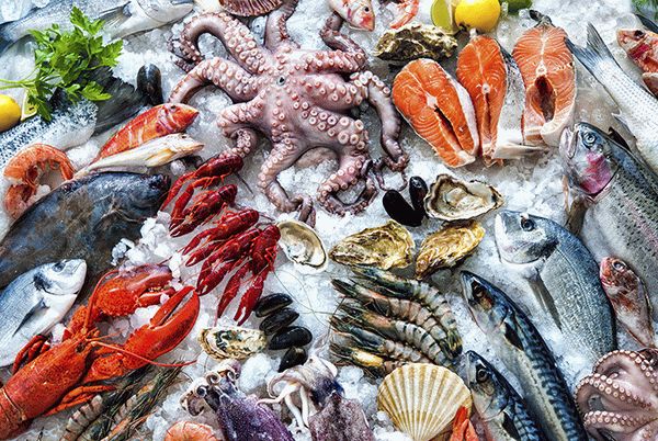 Морепродукты при подагре можно ли есть, как выбрать