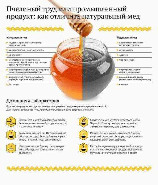 Полезные свойства меда с солью для бани. Почему мед с солью нужно использовать в условиях бани