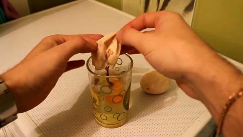 Удивительный эксперимент с яйцом и уксусом