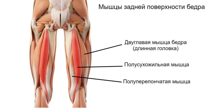 7 846 2671230 Причины боли в мышцах тазобедренной области
