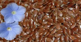 Семена льна: польза и вред для организма