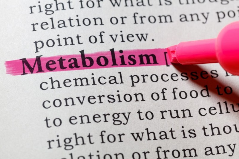 На старт, внимание, марш: как разогнать метаболизм?