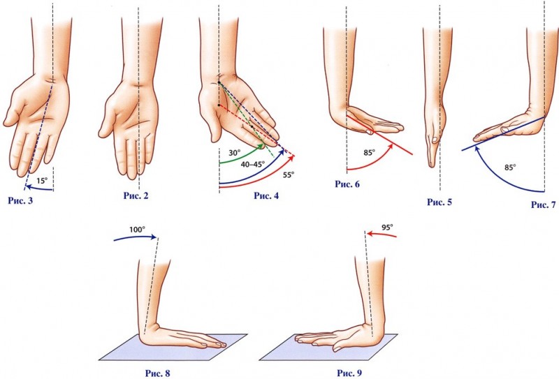 Как разрабатывать руку после перелома лучевой кости в типичном месте