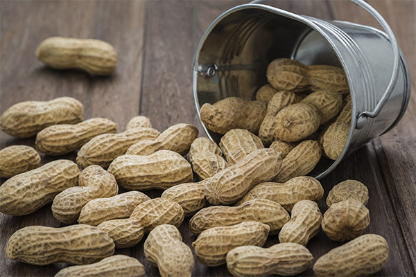 Уникальность арахисового масла: польза и вред. использование арахисового масла в народной медицине, противопоказания