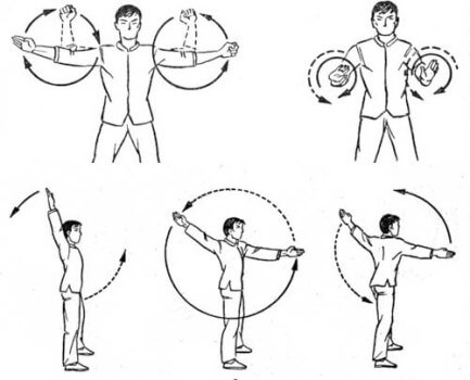 Отжимания от пола: программа тренировок (схема и таблица), какие мышцы работают, техника выполнения