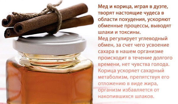 Как использовать мед с корицей для похудения