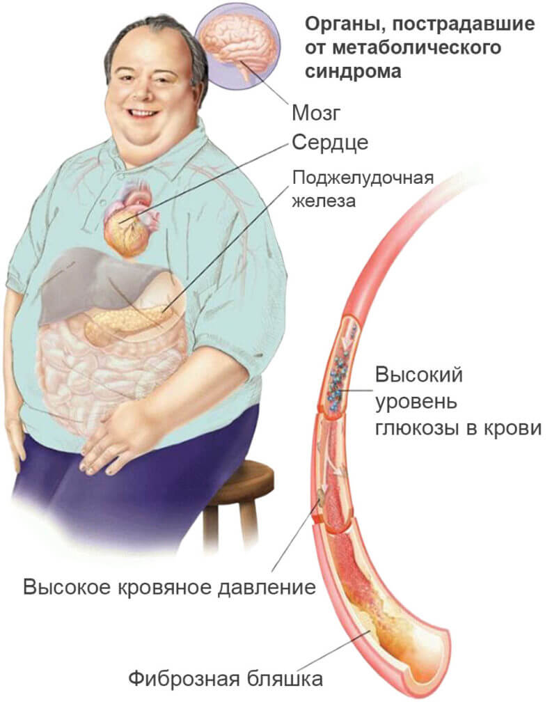 Висцеральный жир норма у женщин