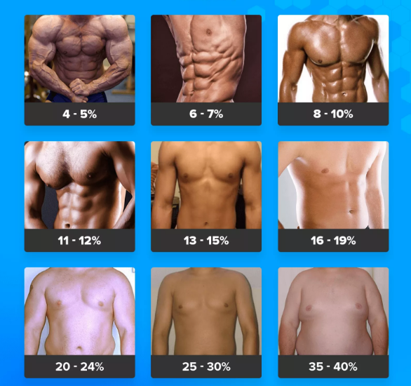 Нормы жира и мышц для мужчин